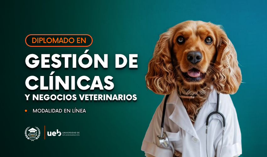Gestión de Clínicas y Negocios Veterinarios